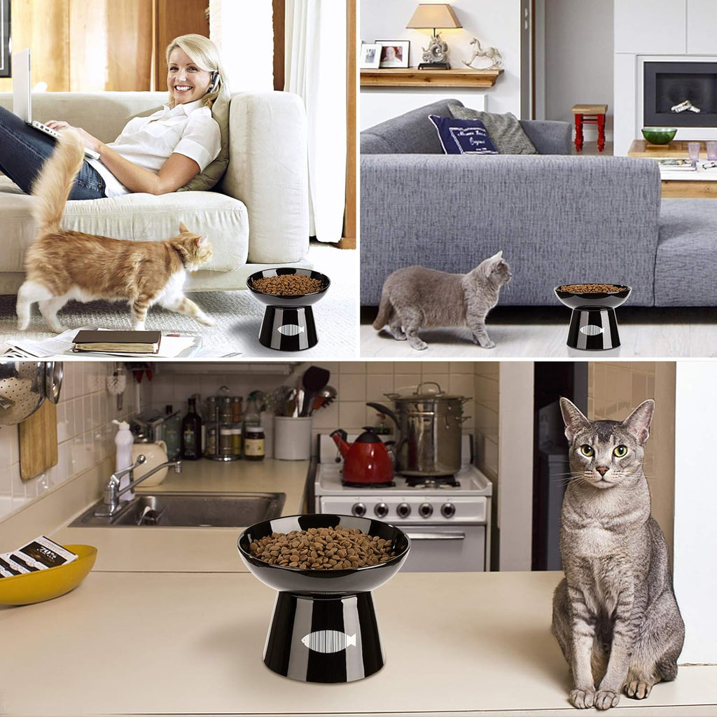 Cat Raised Food/Water Bowl for Elder Big Cats, Non-Skid 4.8X6.4In Premium Ceramic Cat Bowls with Stand, Sturdy and Anti-Fall… (Black)