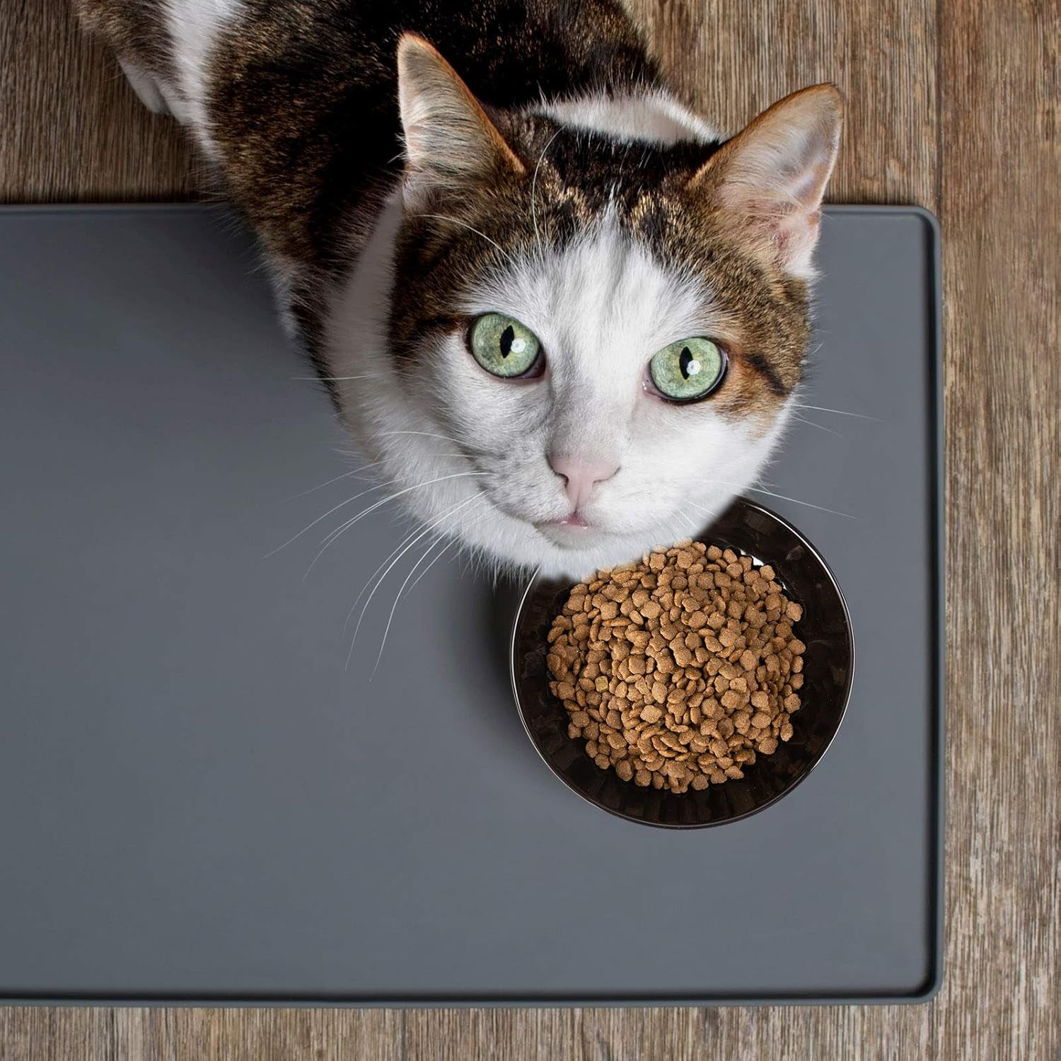 Cat Raised Food/Water Bowl for Elder Big Cats, Non-Skid 4.8X6.4In Premium Ceramic Cat Bowls with Stand, Sturdy and Anti-Fall… (Black)